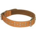 Wide Studded Collar 1-1/2"  x 24" Tan British by Design